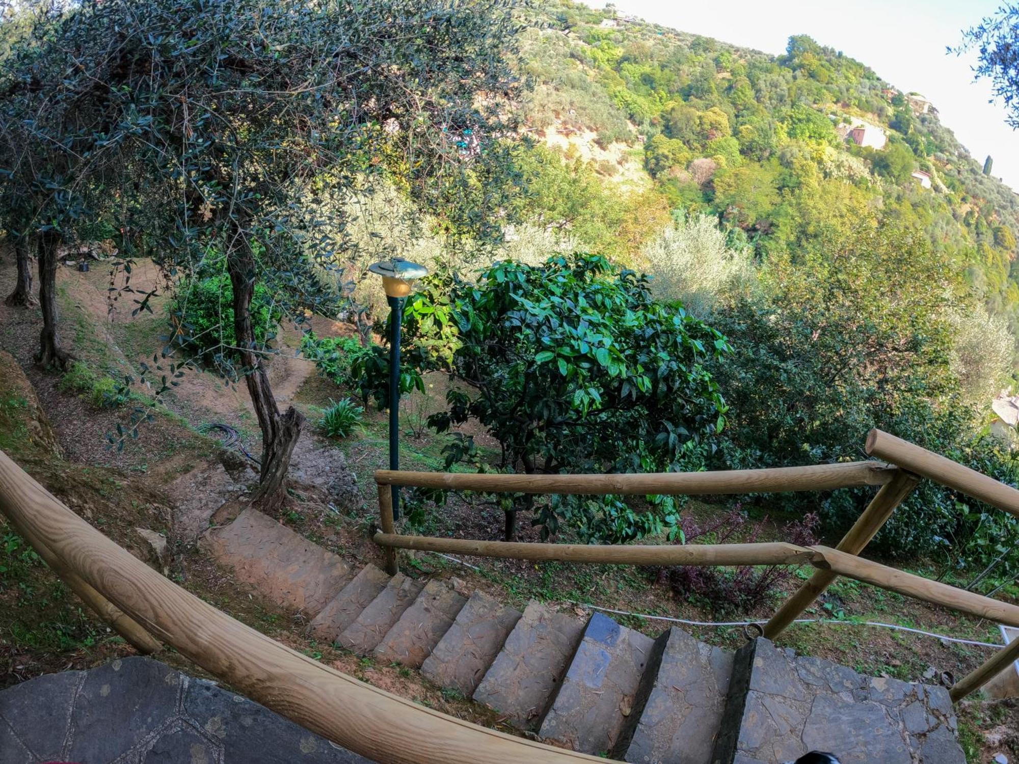 B&B Portofino Exteriér fotografie
